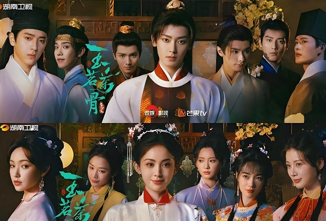 玉茗茶骨电视剧免费观看全集高清版